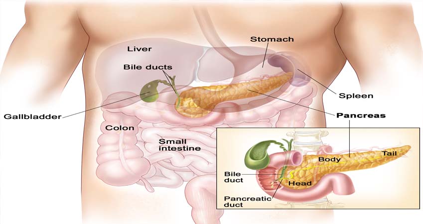 HPB Cancer Surgeon in Sonipat